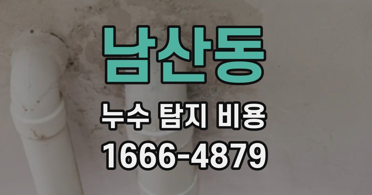 남산동 누수 탐지 비용