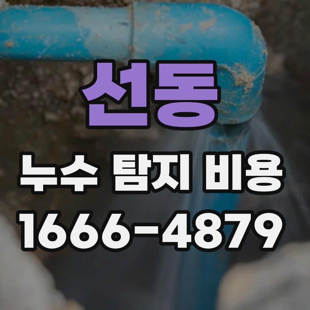 선동 누수 탐지 비용