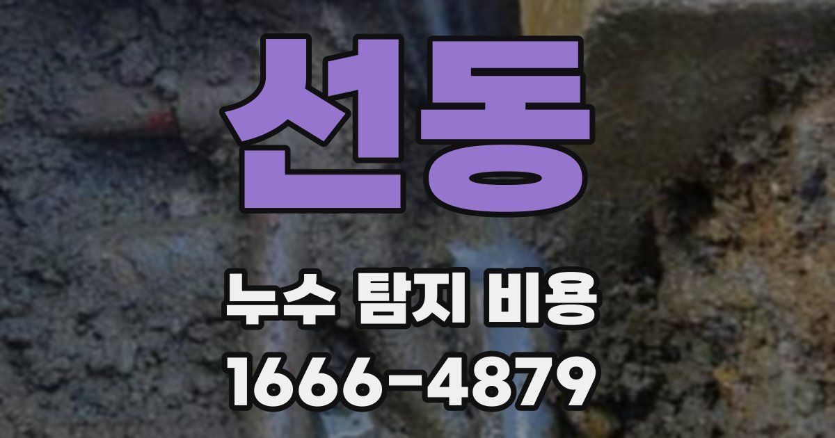 선동 누수 탐지 비용