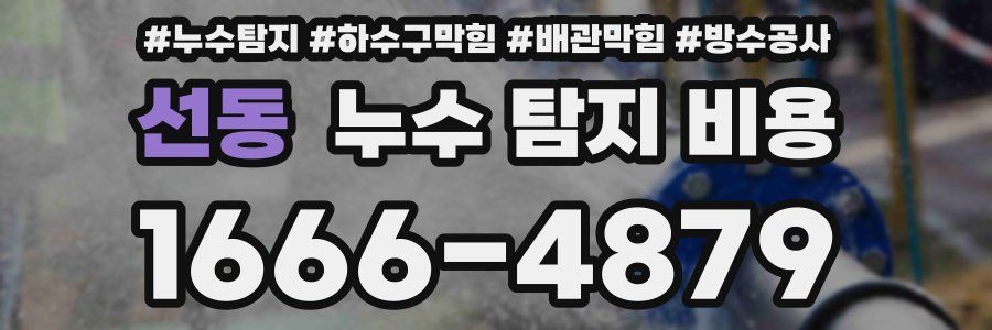 선동 누수 탐지 비용