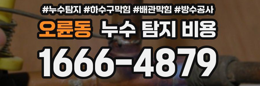 오륜동 누수 탐지 비용