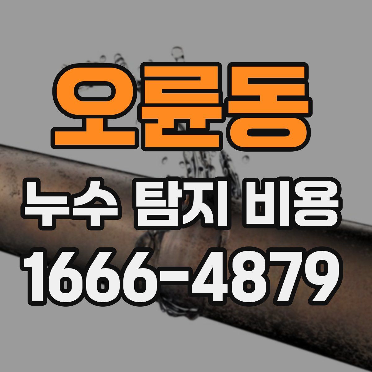 오륜동 누수 탐지 비용