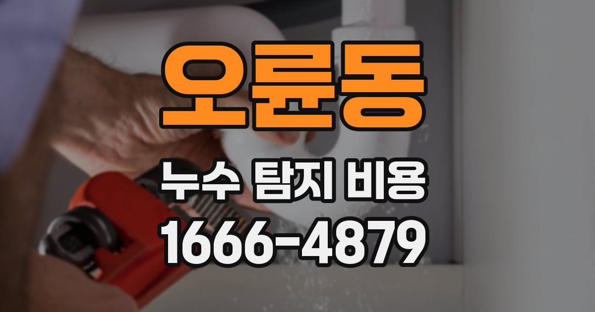 오륜동 누수 탐지 비용