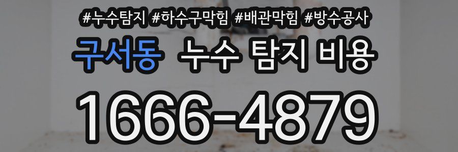 구서동 누수 탐지 비용