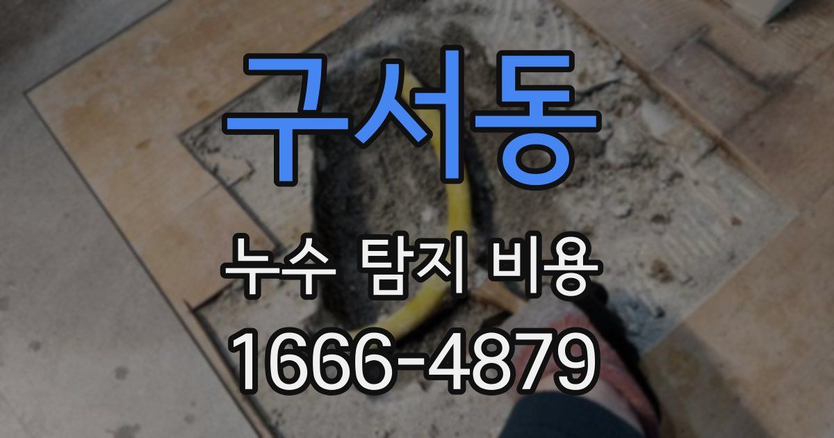 구서동 누수 탐지 비용