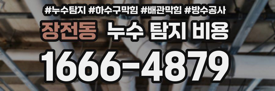 장전동 누수 탐지 비용