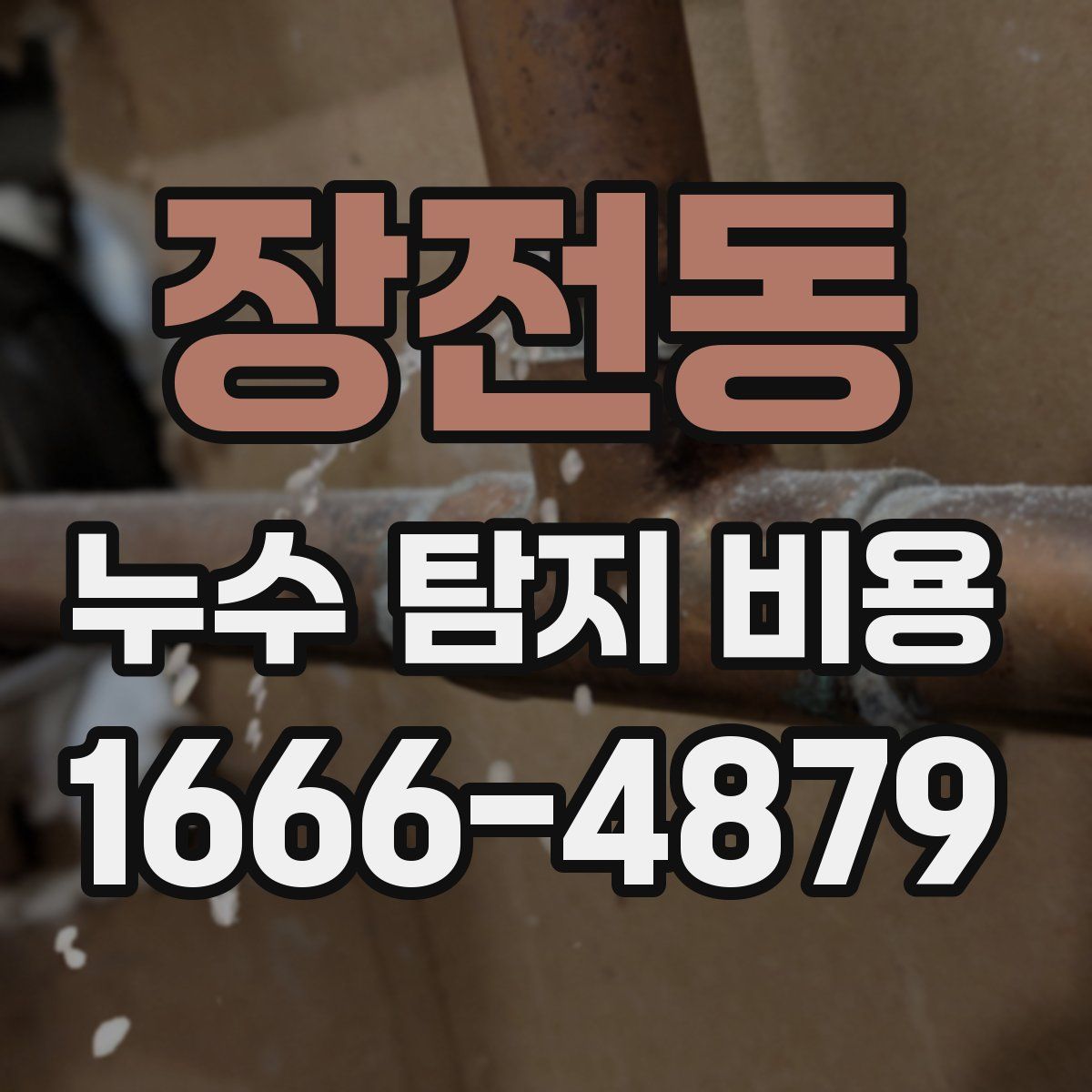 장전동 누수 탐지 비용