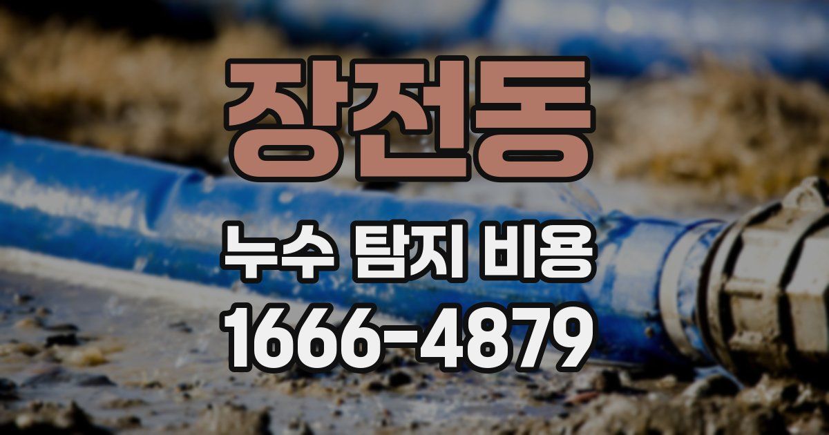 장전동 누수 탐지 비용