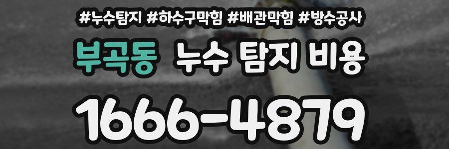 부곡동 누수 탐지 비용