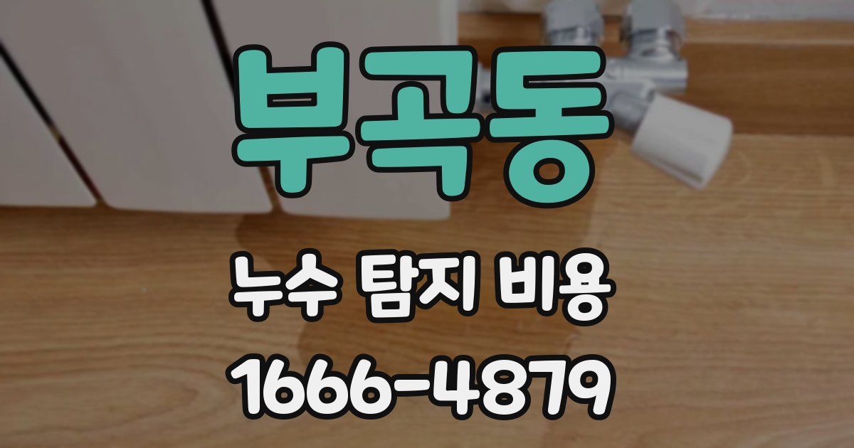 부곡동 누수 탐지 비용