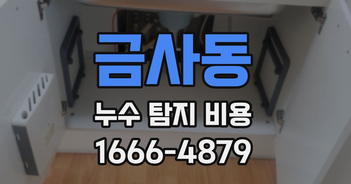 금사동 누수 탐지 비용