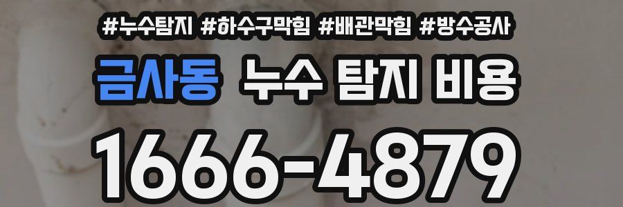 금사동 누수 탐지 비용