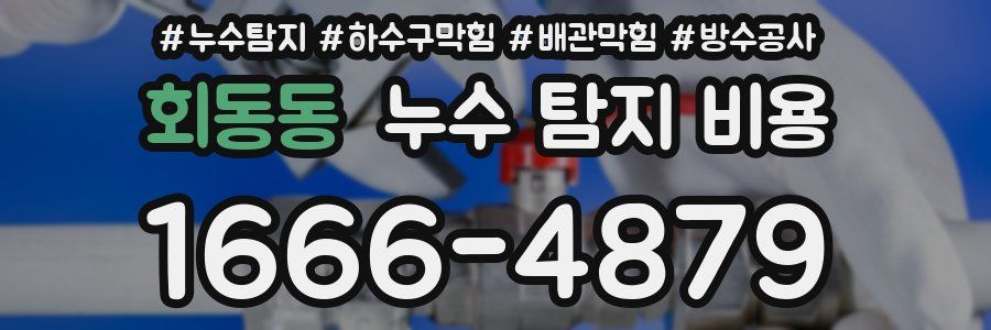 회동동 누수 탐지 비용
