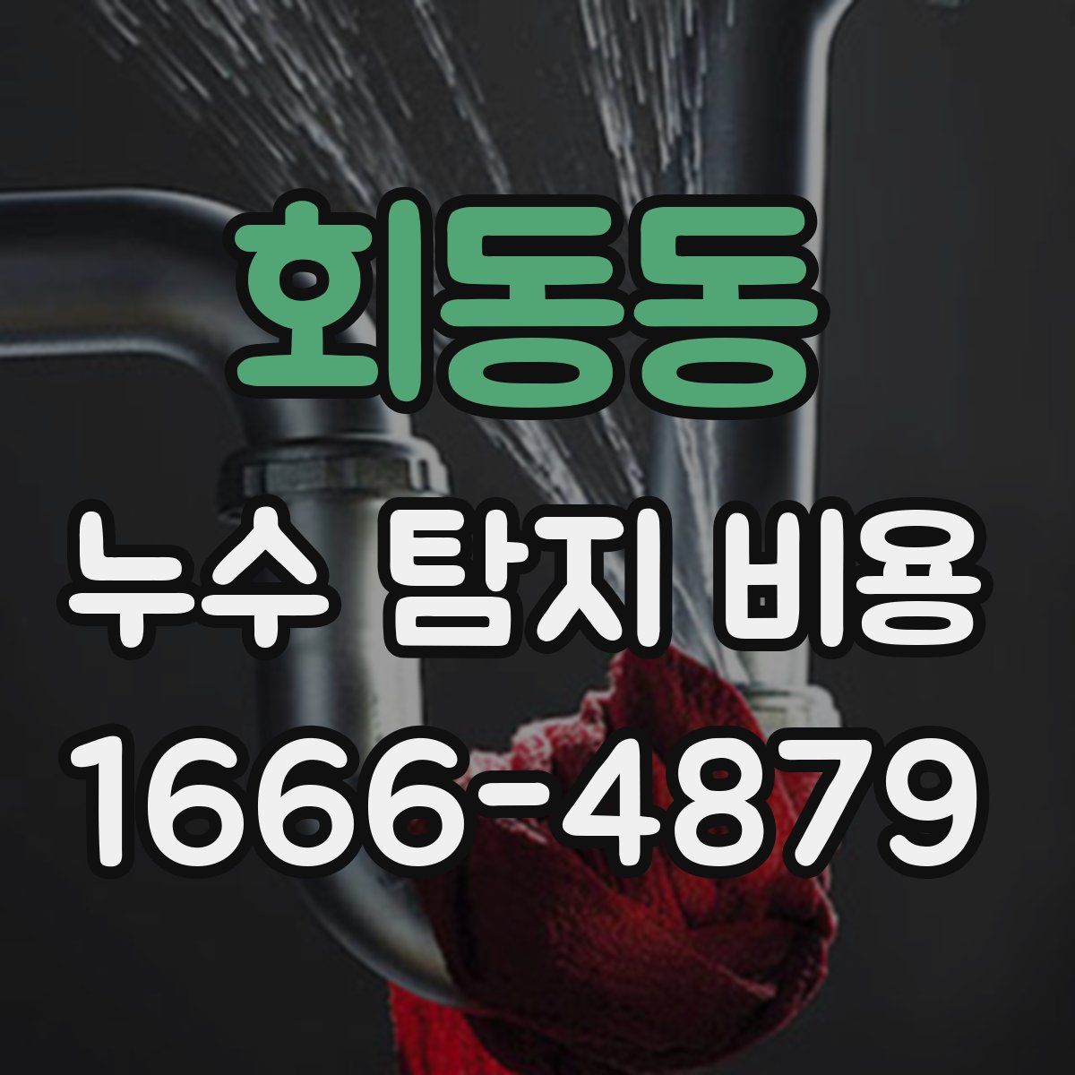 회동동 누수 탐지 비용