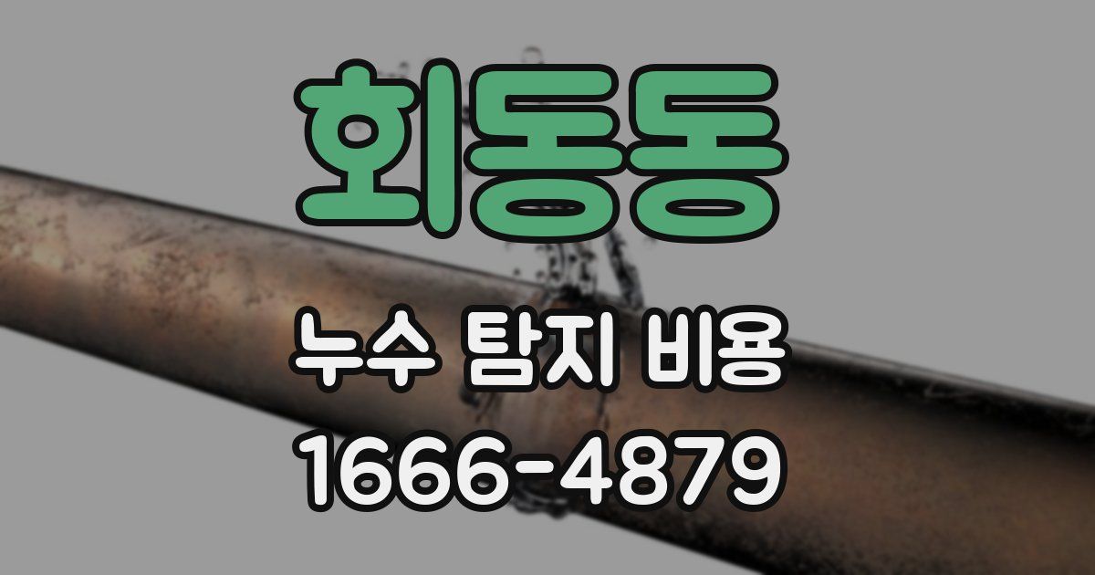 회동동 누수 탐지 비용