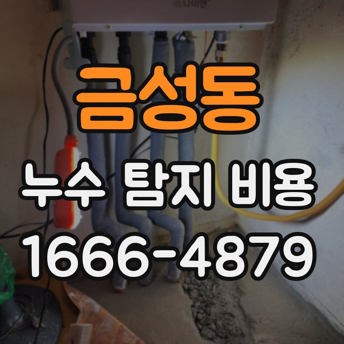 금성동 누수 탐지 비용