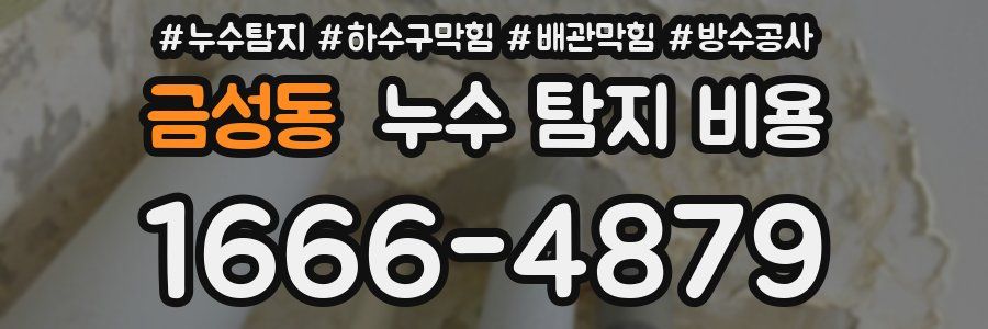 금성동 누수 탐지 비용