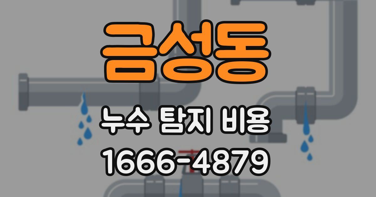 금성동 누수 탐지 비용