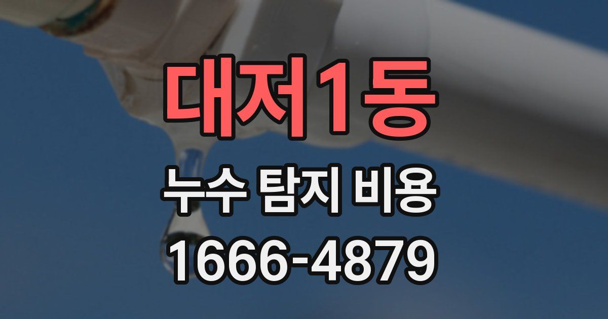 대저1동 누수 탐지 비용