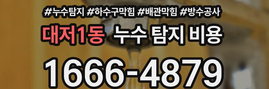 대저1동 누수 탐지 비용