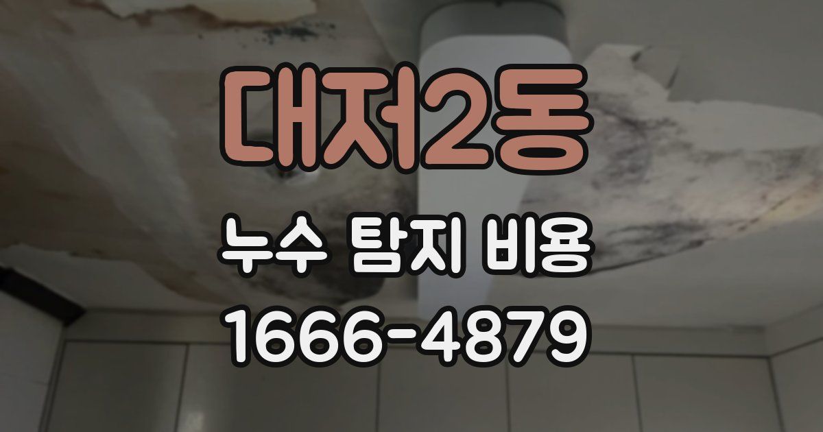 대저2동 누수 탐지 비용
