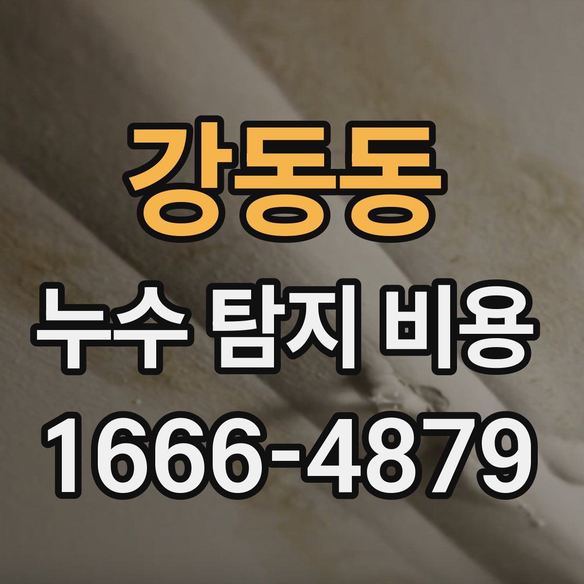 강동동 누수 탐지 비용
