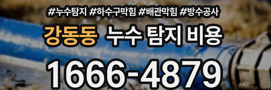 강동동 누수 탐지 비용