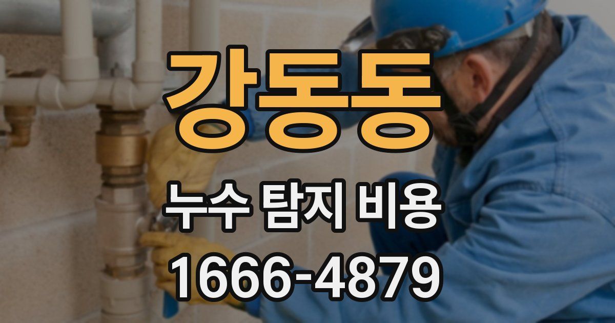 강동동 누수 탐지 비용