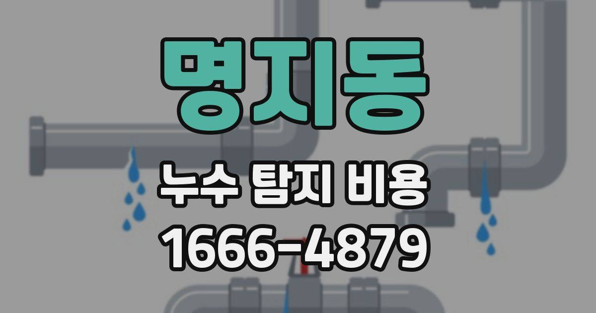 명지동 누수 탐지 비용