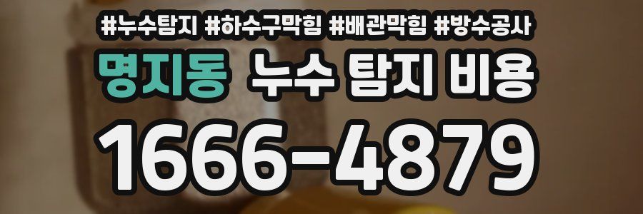 명지동 누수 탐지 비용
