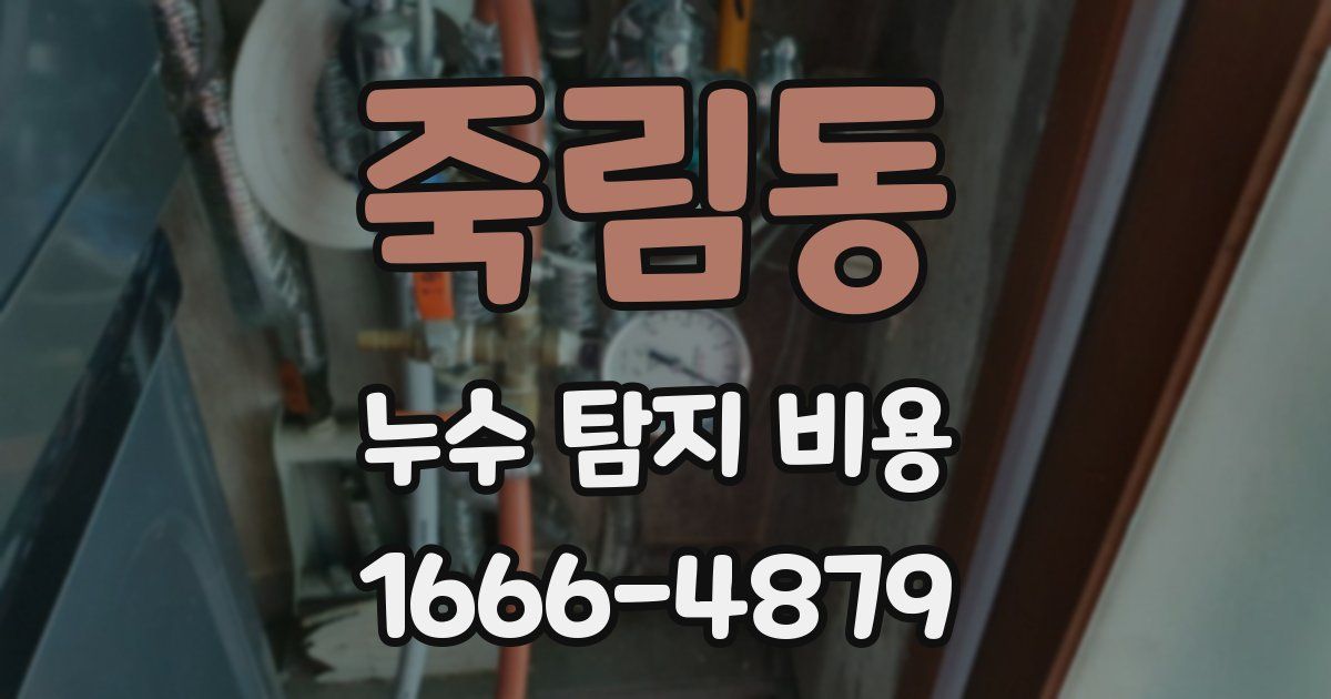 죽림동 누수 탐지 비용