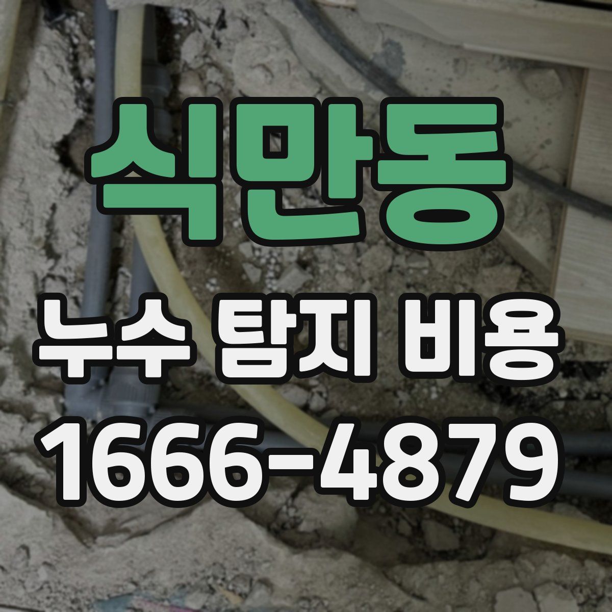 식만동 누수 탐지 비용