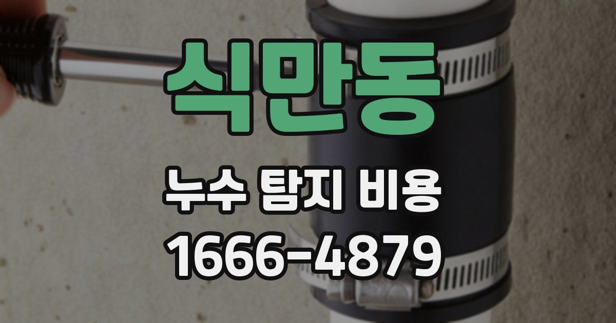 식만동 누수 탐지 비용
