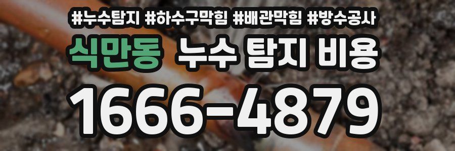 식만동 누수 탐지 비용