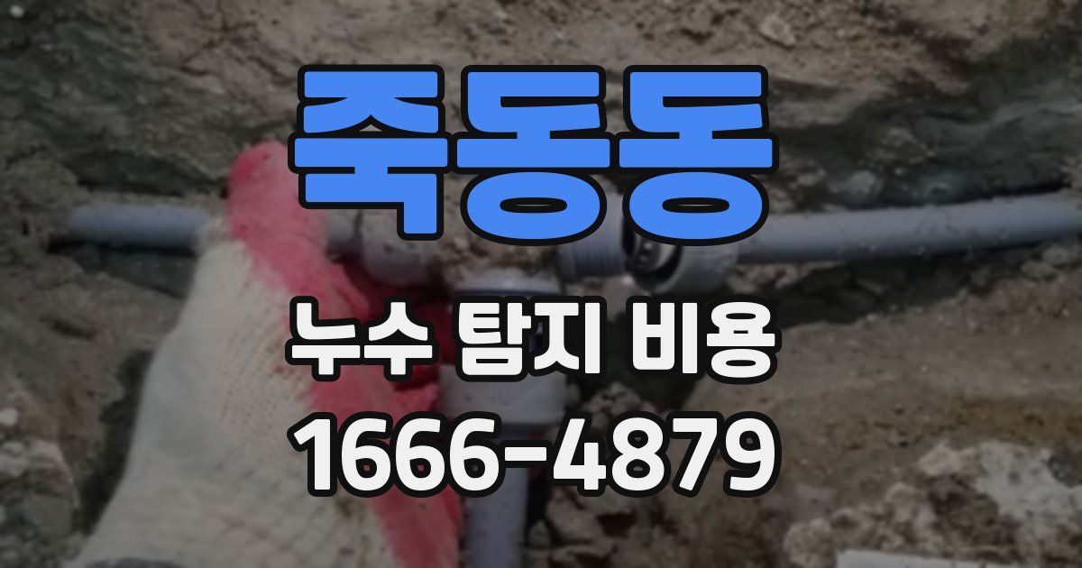 죽동동 누수 탐지 비용