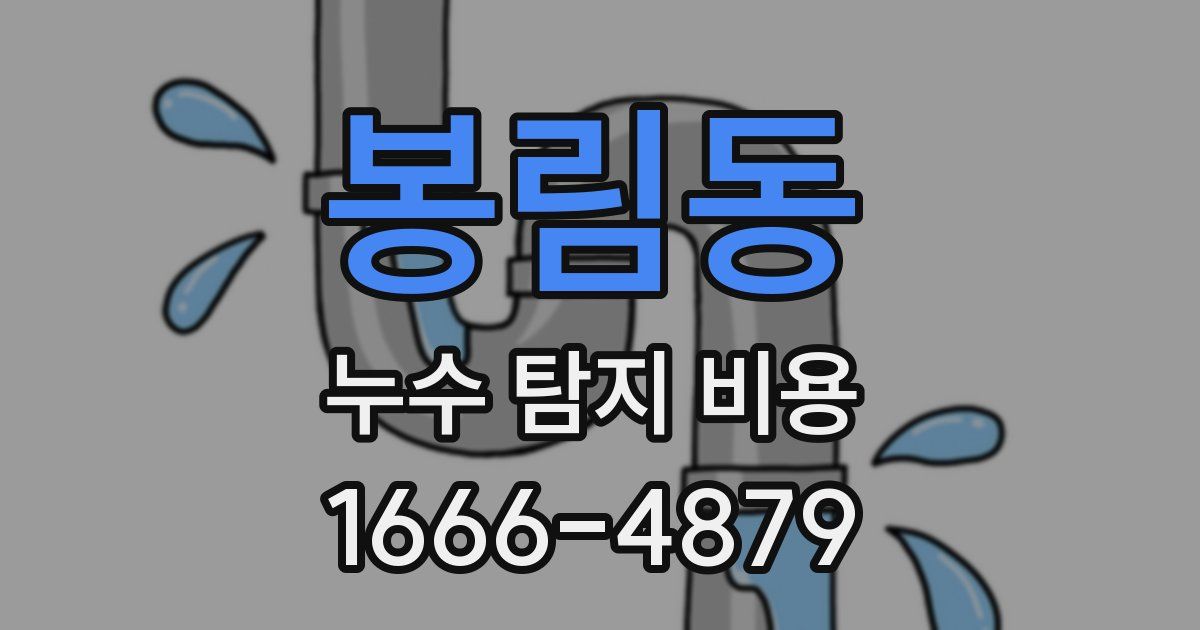 봉림동 누수 탐지 비용