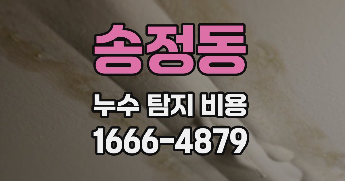 송정동 누수 탐지 비용
