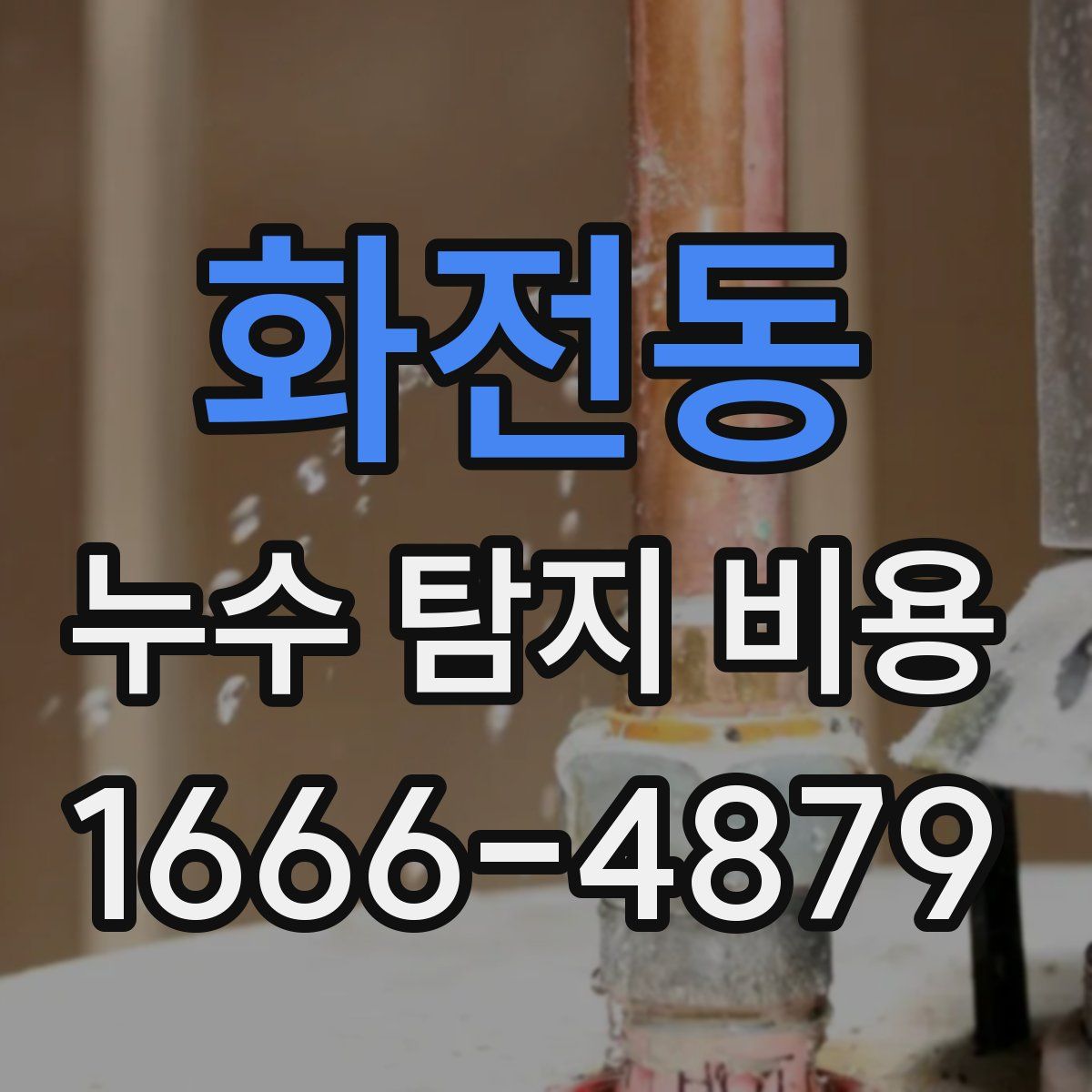 화전동 누수 탐지 비용
