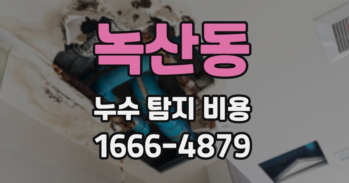 녹산동 누수 탐지 비용
