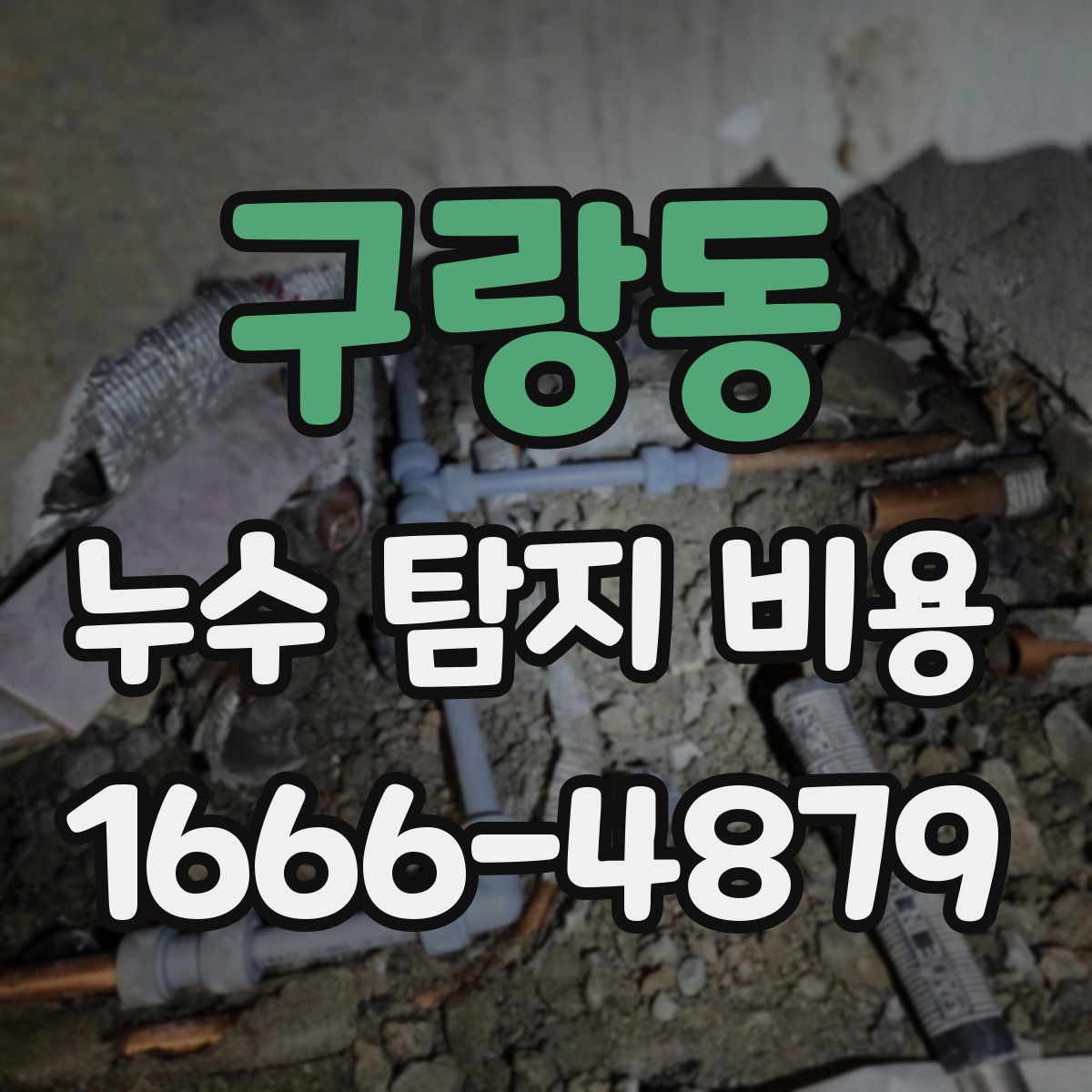 구랑동 누수 탐지 비용