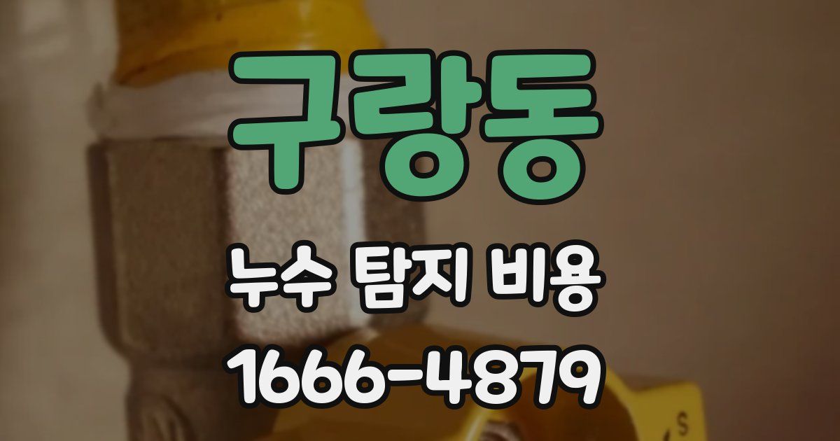 구랑동 누수 탐지 비용