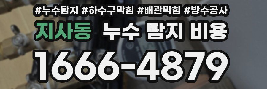 지사동 누수 탐지 비용