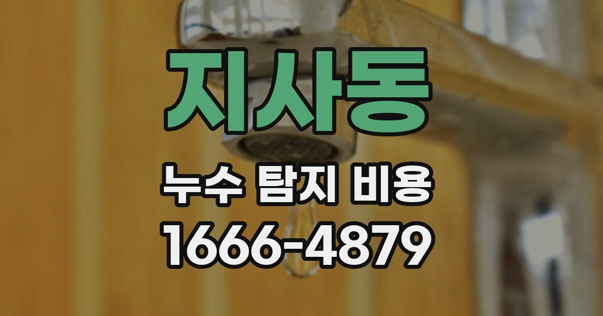 지사동 누수 탐지 비용