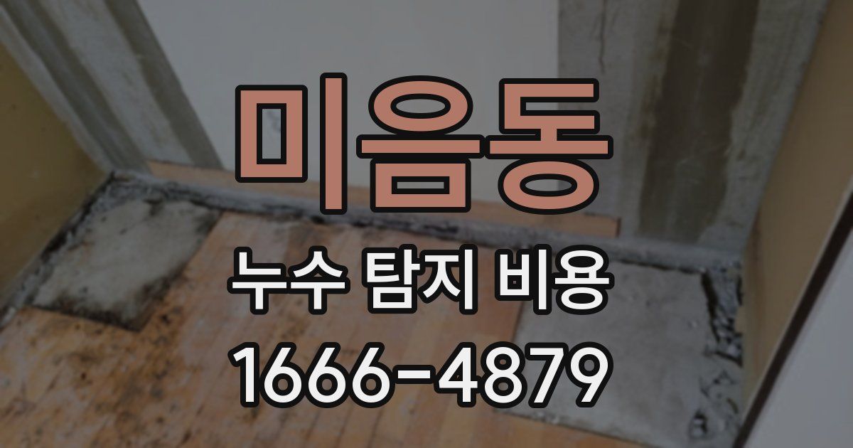 미음동 누수 탐지 비용