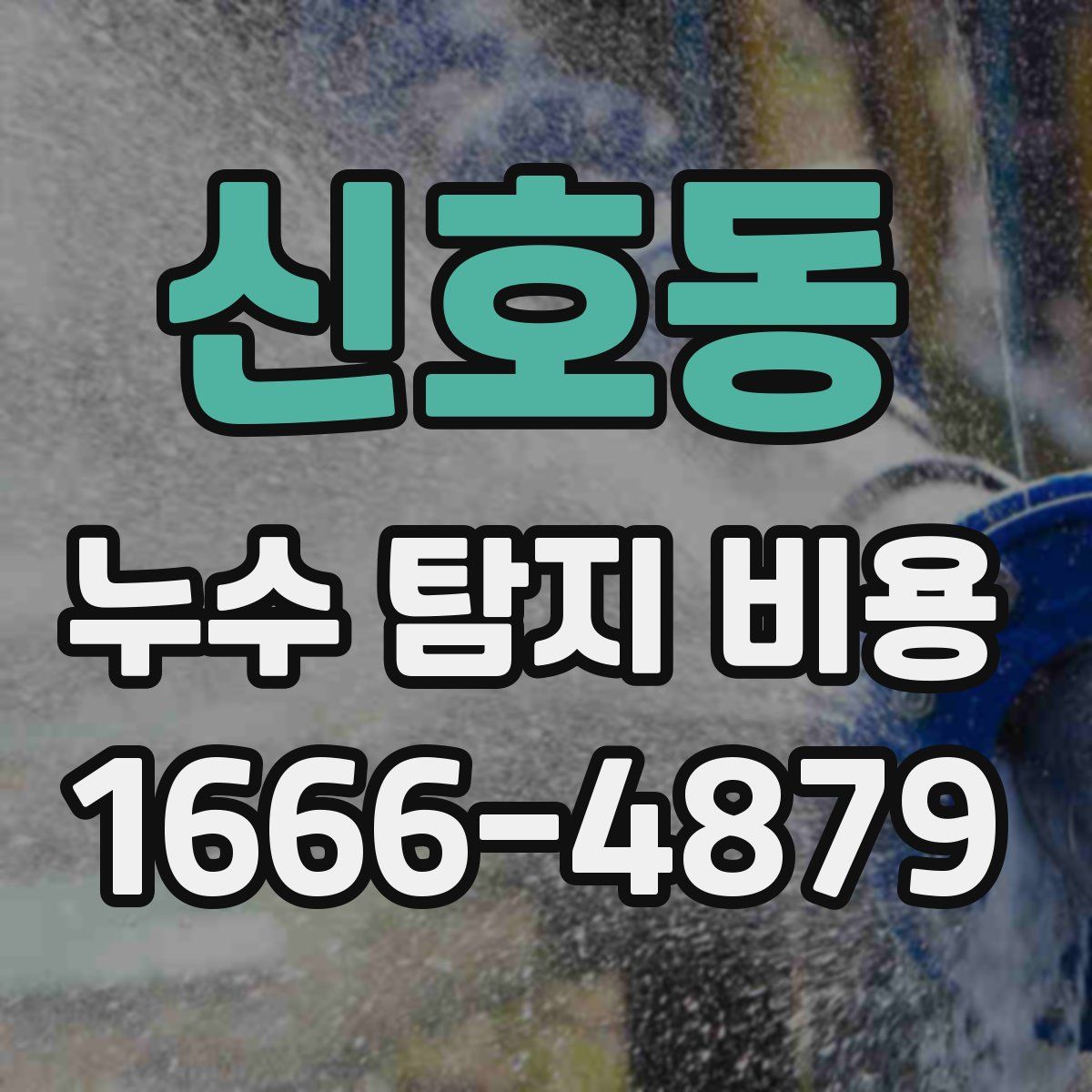 신호동 누수 탐지 비용