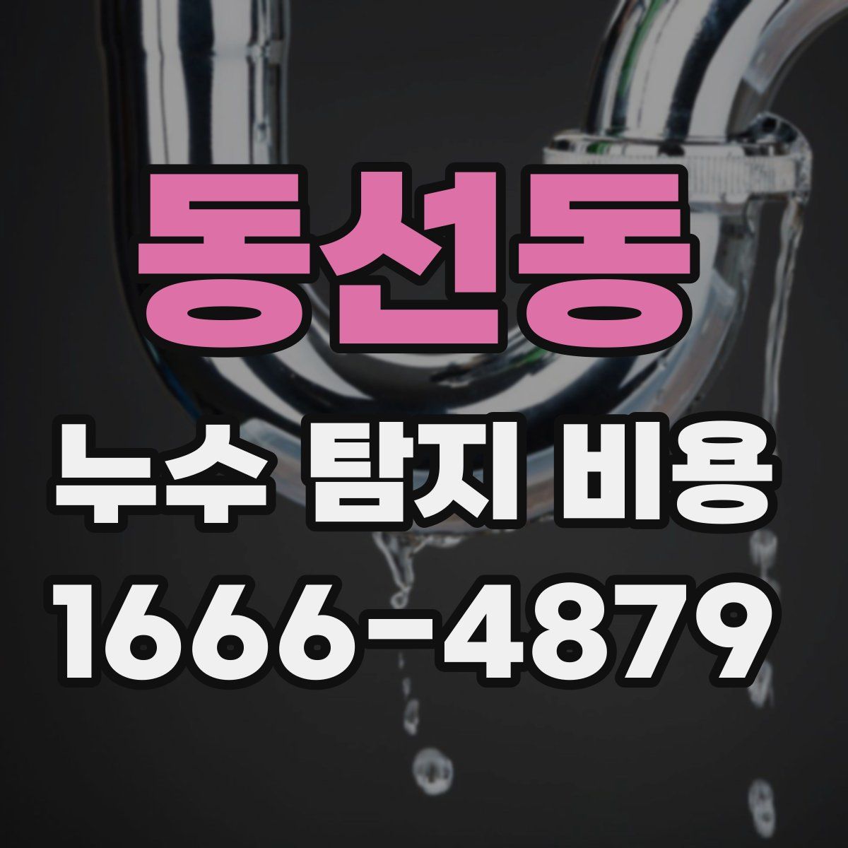 동선동 누수 탐지 비용