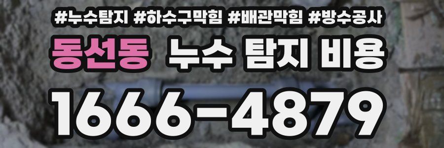 동선동 누수 탐지 비용