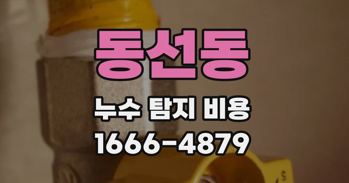 동선동 누수 탐지 비용