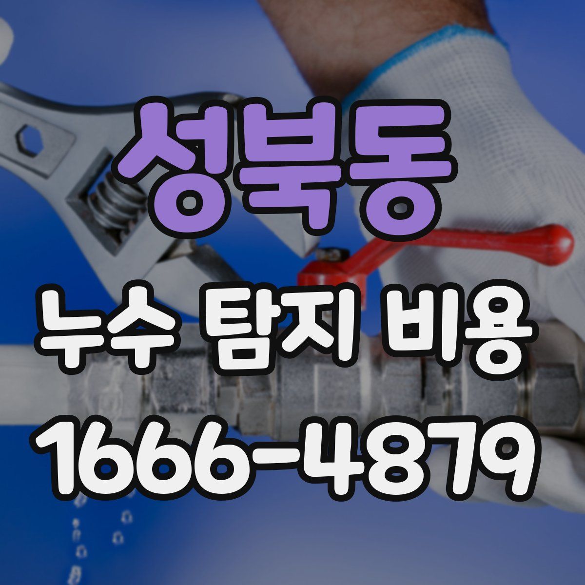 성북동 누수 탐지 비용