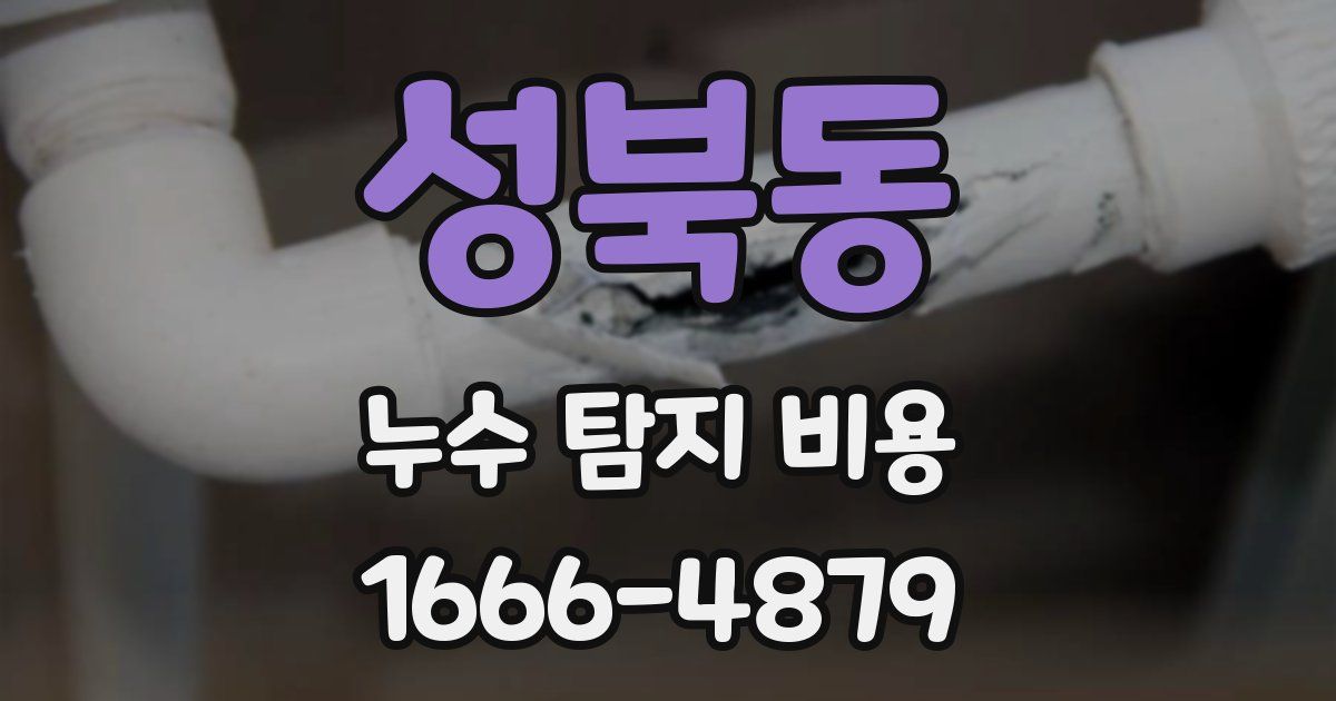성북동 누수 탐지 비용